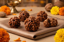 How to Choose the Right Rudraksha: A Complete Beginner's Guide