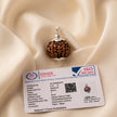 Natural 7 Mukhi Nepali Rudraksha – Wealth & Stability