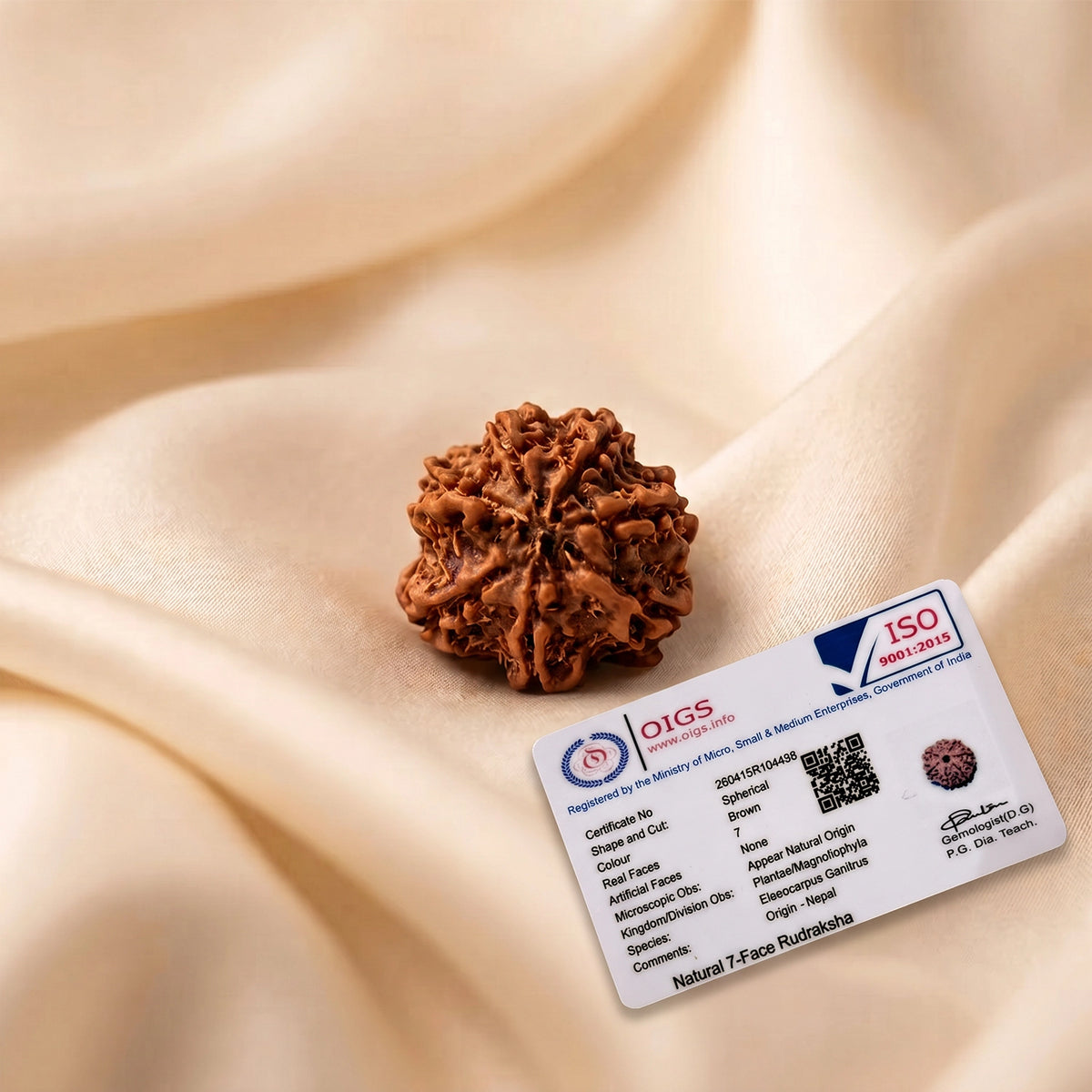 Natural 7 Mukhi Nepali Rudraksha – Wealth & Stability