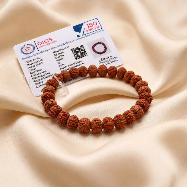 7 Mukhi Rudraksha Bracelet, Natural Indonesian Beads