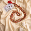 7 Mukhi Rudraksha Mala, 108 Hand Knotted Beads