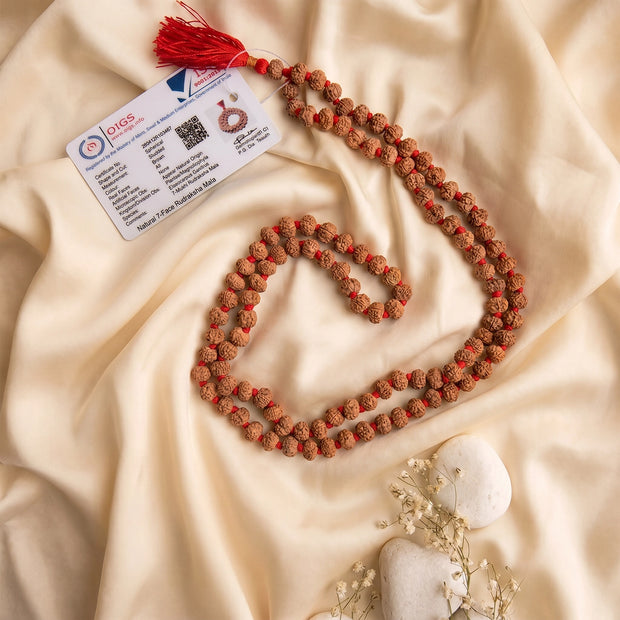 7 Mukhi Rudraksha Mala, 108 Hand Knotted Beads
