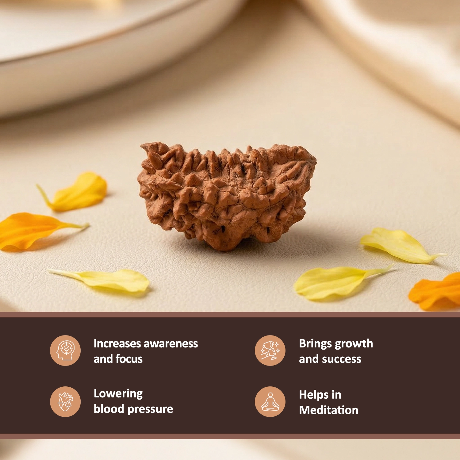 Natural 1 Mukhi Rameswaram Rudraksha – Spiritual Clarity & Meditation