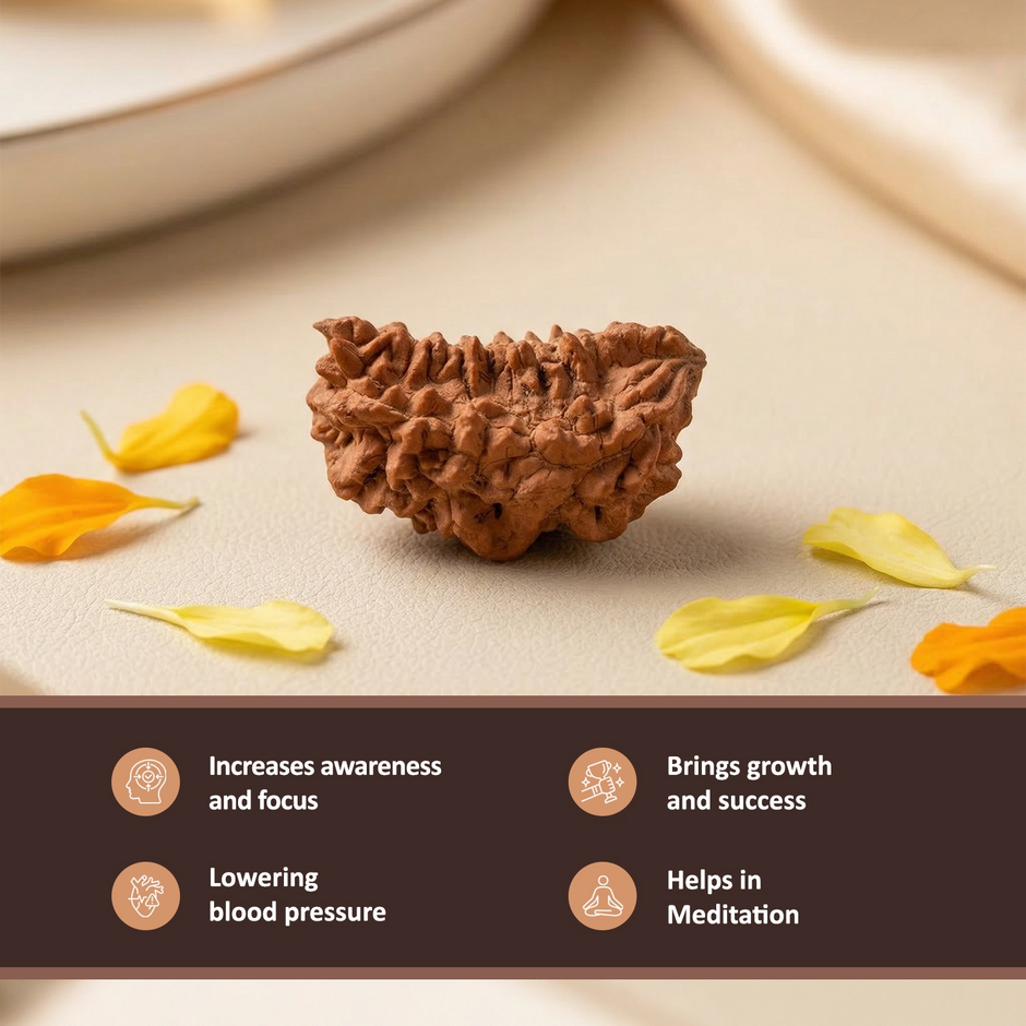 Natural 1 Mukhi Rameswaram Rudraksha – Spiritual Clarity & Meditation