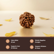 Natural 5 Mukhi Nepali Rudraksha – Peace & Protection