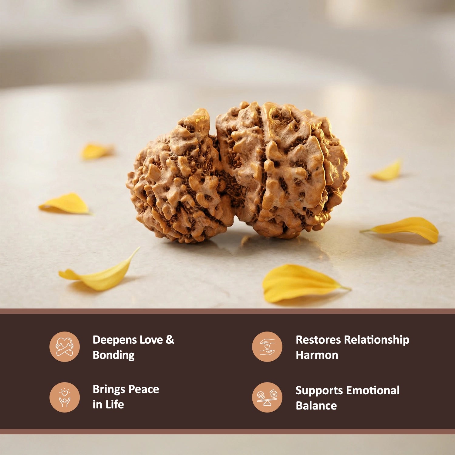 Natural Gauri Shankar Rudraksha – Love, Harmony & Relationship Healing