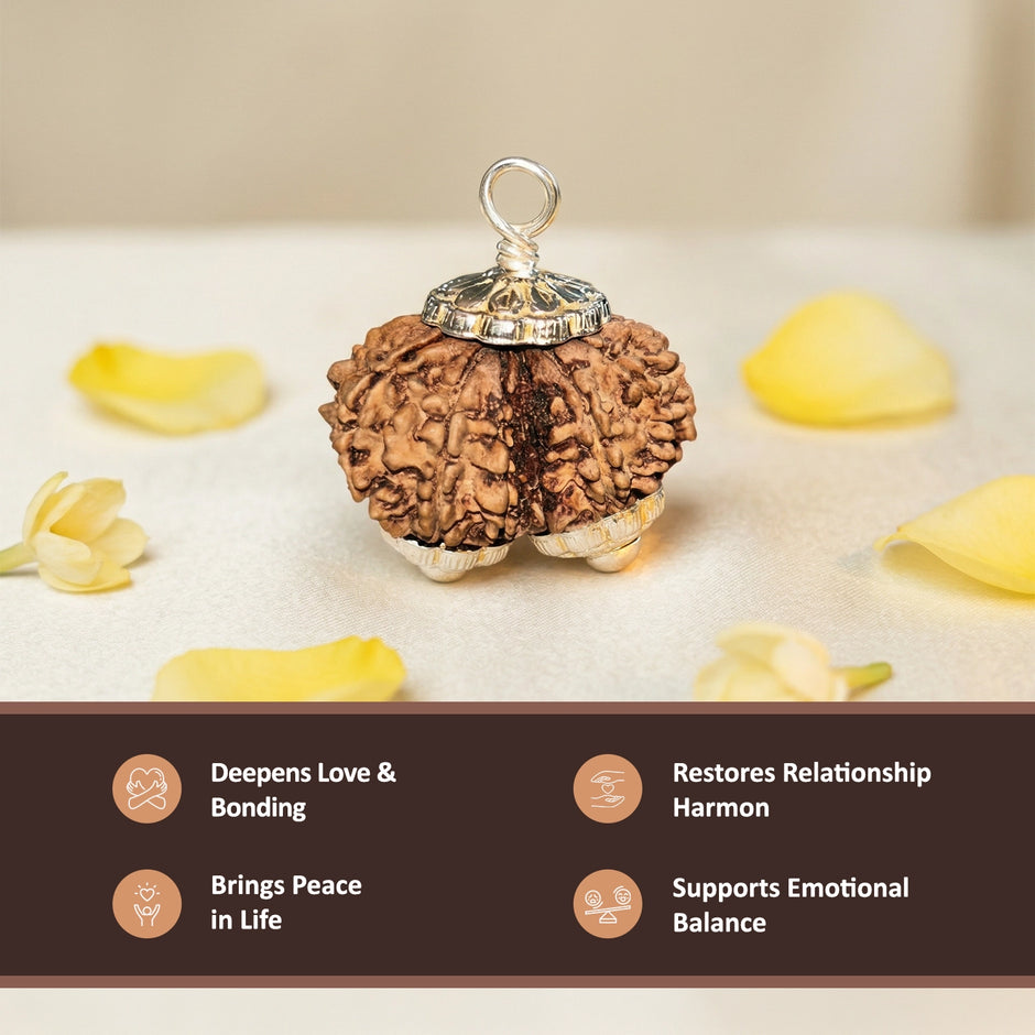 Natural Gauri Shankar Rudraksha – Love, Harmony & Relationship Healing