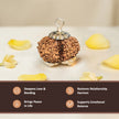 Natural Gauri Shankar Rudraksha – Love, Harmony & Relationship Healing