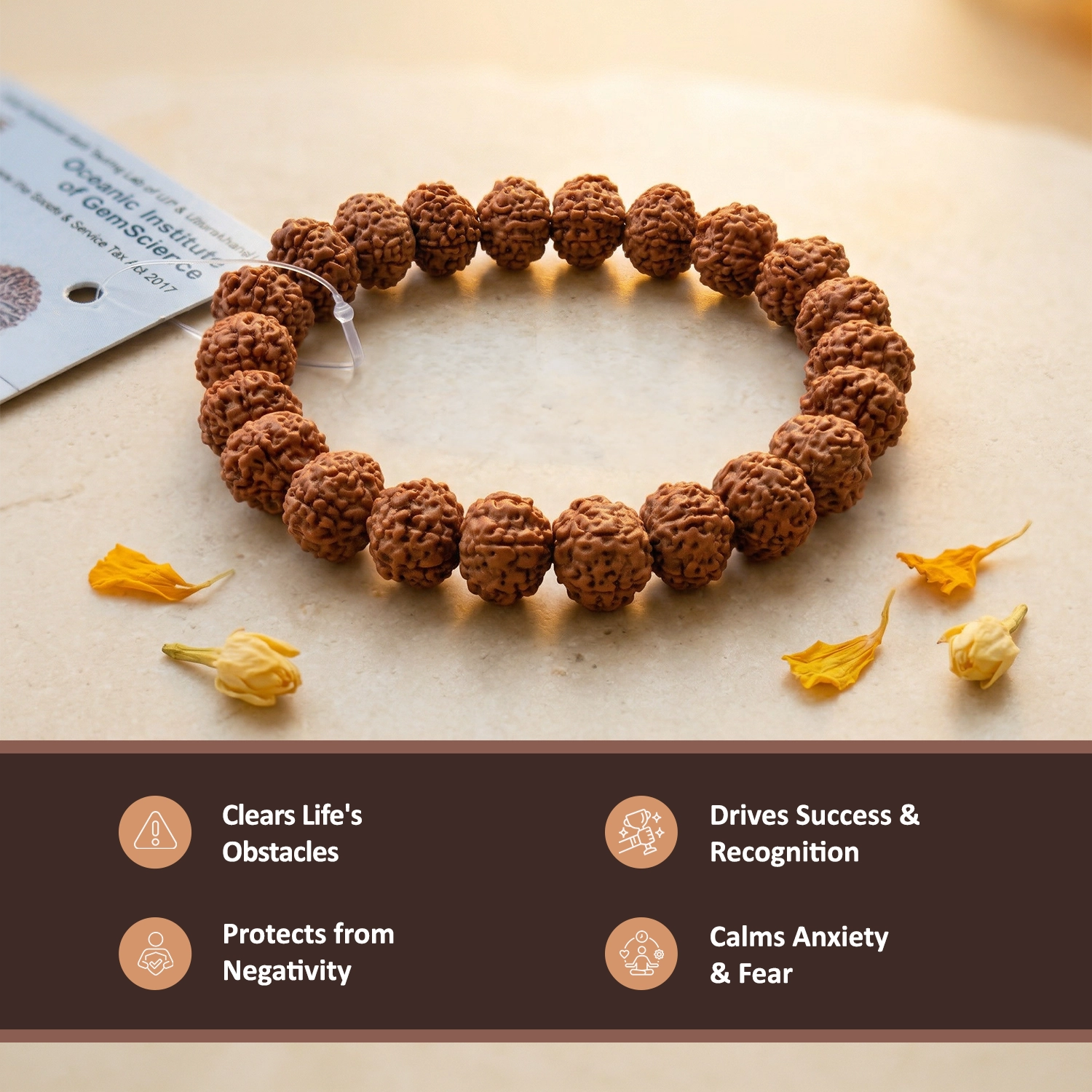 8 Mukhi Rudraksha Bracelet
