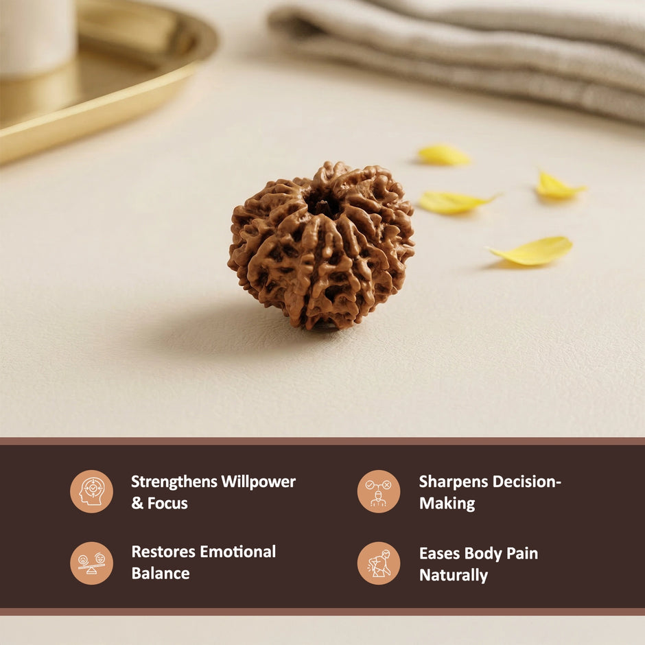 Natural 11 Mukhi Nepali Rudraksha – Lord Hanuman's Courage & Wisdom