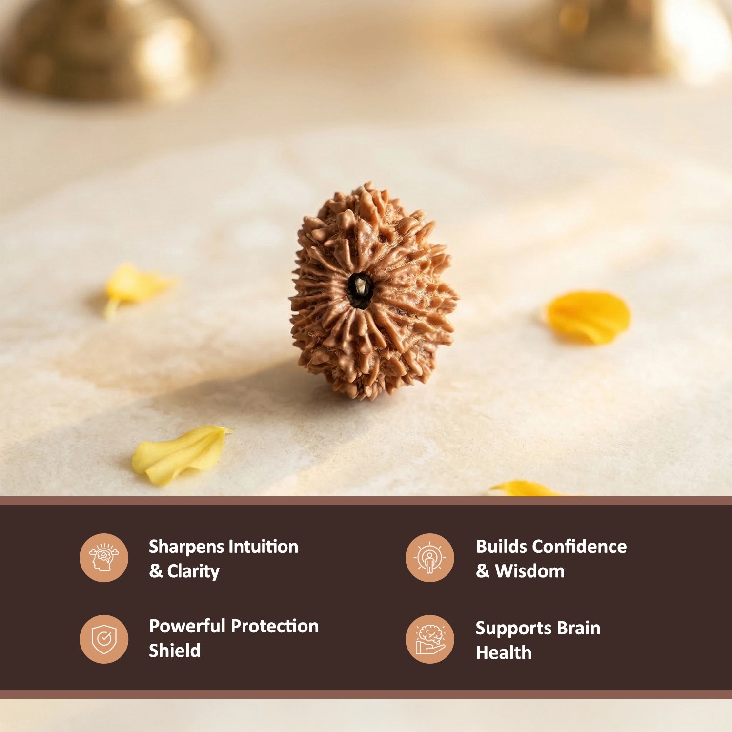 Natural 14 Mukhi Nepali Rudraksha – The Dev Mani for Divine Vision & Foresight
