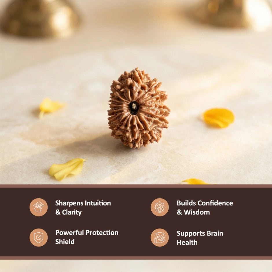 Natural 14 Mukhi Nepali Rudraksha – The Dev Mani for Divine Vision & Foresight