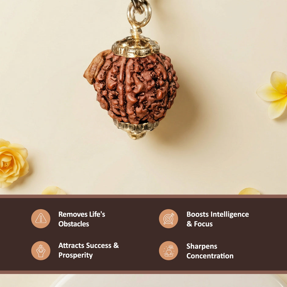 Natural Ganesh Rudraksha – Obstacle Removal & Success