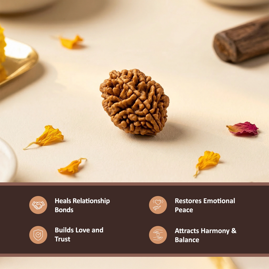 Natural 2 Mukhi Nepali Rudraksha – Harmony & Relationship Balance