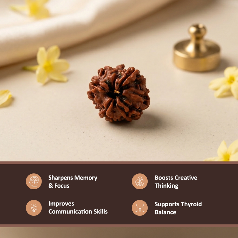Natural 4 Mukhi Nepali Rudraksha – Focus & Intelligence