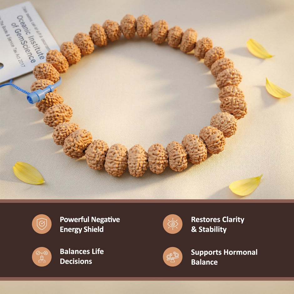 10 Mukhi Rudraksha Bracelet