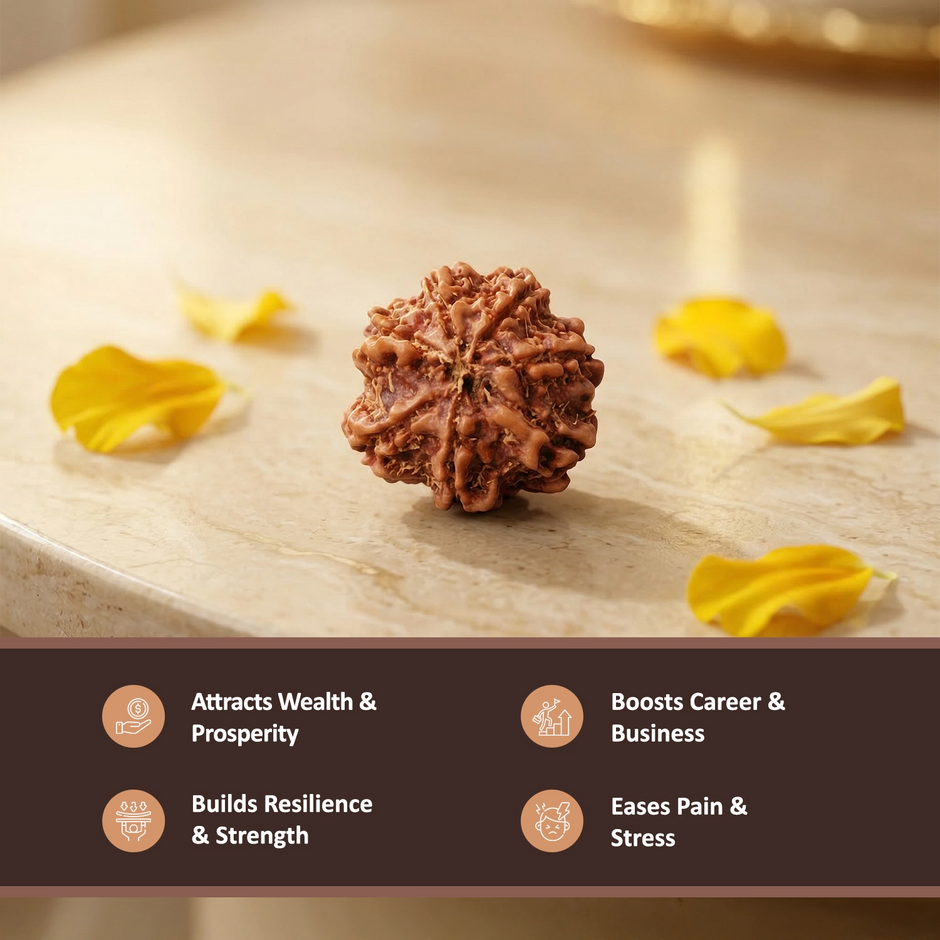 Natural 7 Mukhi Nepali Rudraksha – Wealth & Stability