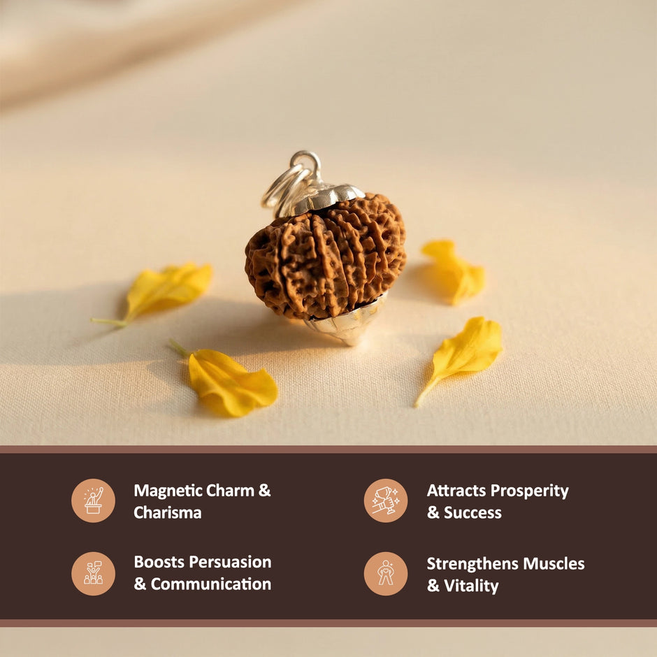 Natural 13 Mukhi Nepali Rudraksha – Attraction, Confidence & Success