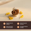Natural 13 Mukhi Nepali Rudraksha – Attraction, Confidence & Success