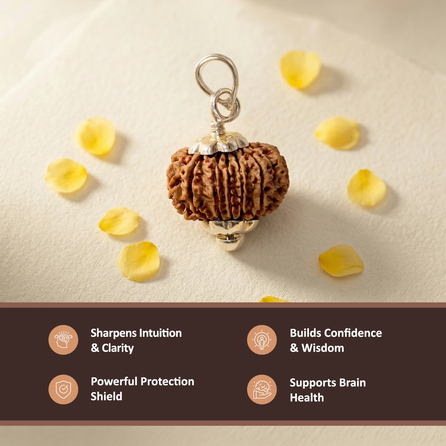 Natural 14 Mukhi Nepali Rudraksha – The Dev Mani for Divine Vision & Foresight