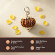 Natural 14 Mukhi Nepali Rudraksha – The Dev Mani for Divine Vision & Foresight