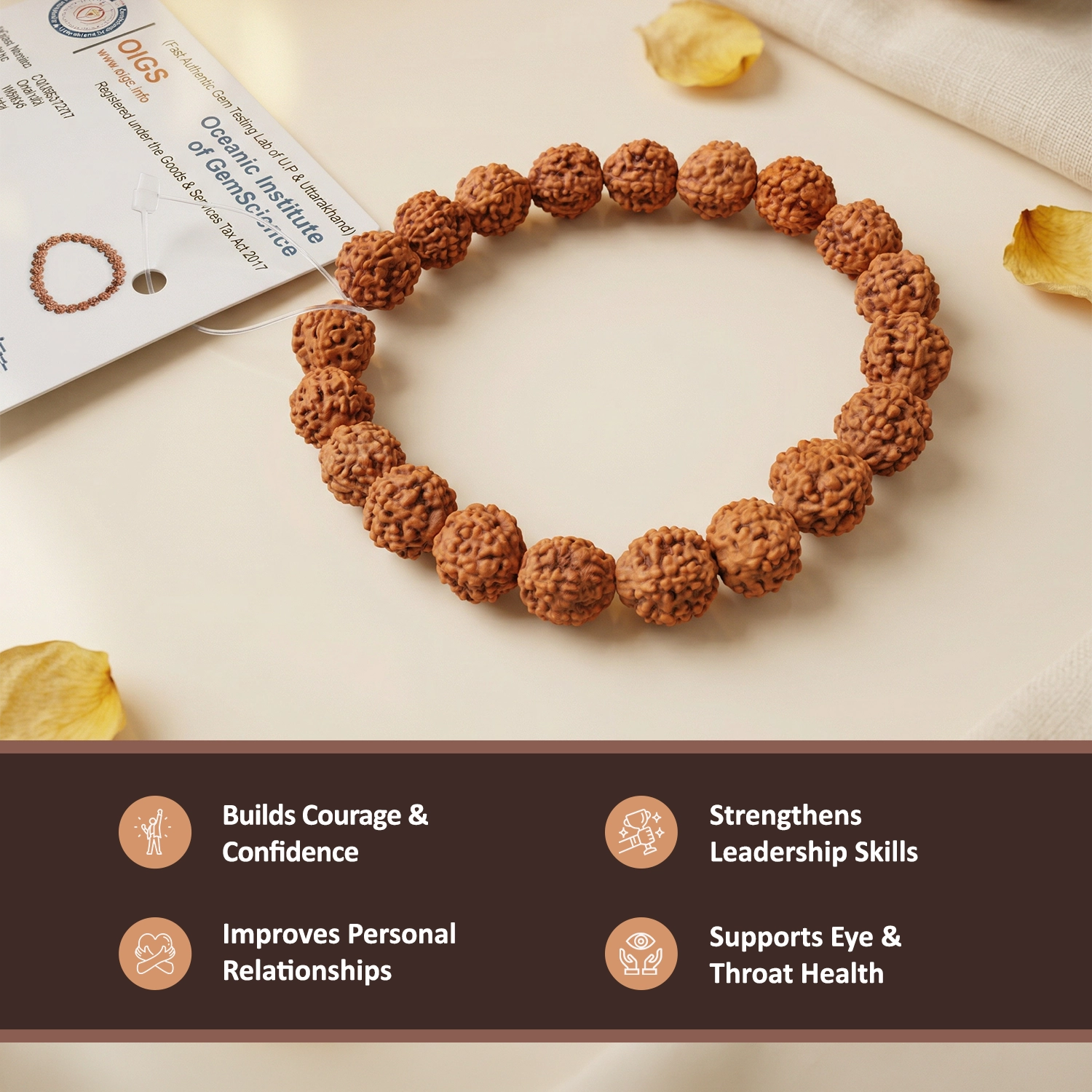 6 Mukhi Rudraksha Bracelet