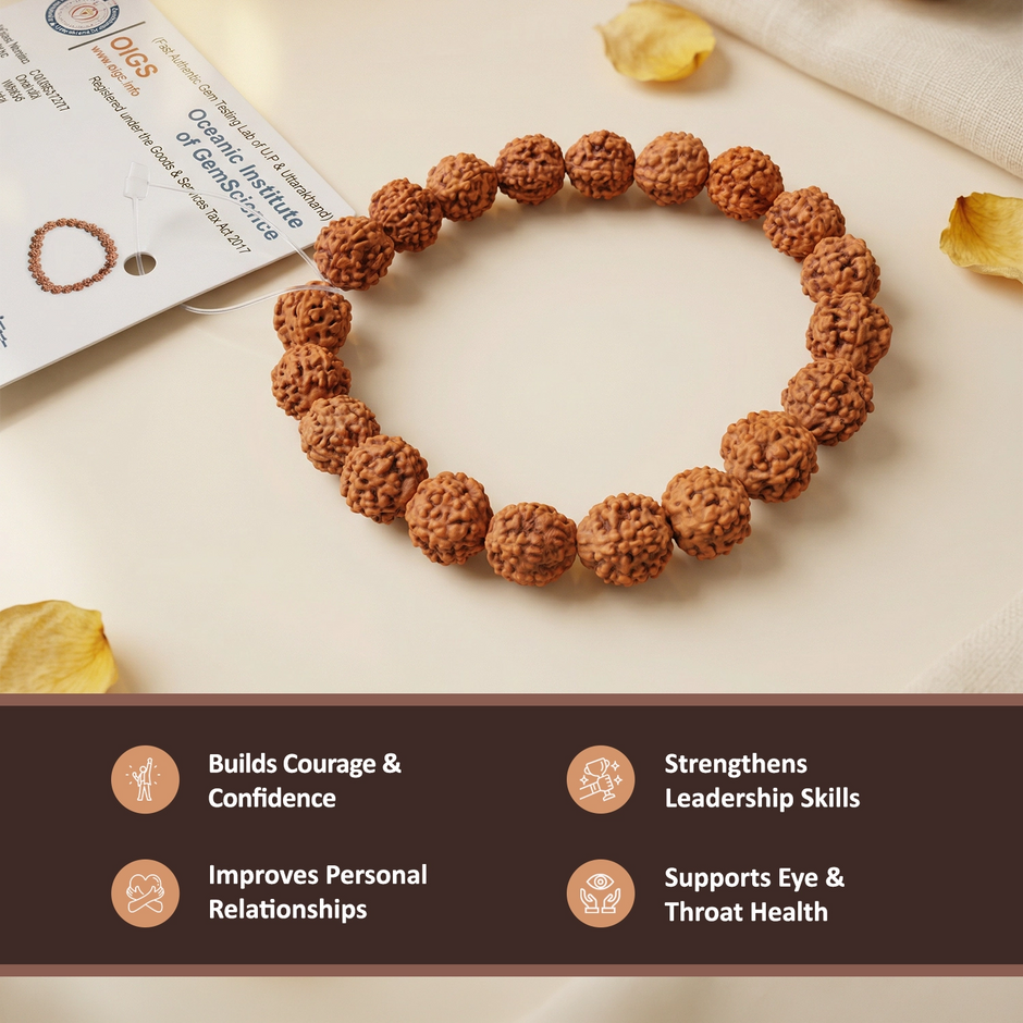 6 Mukhi Rudraksha Bracelet