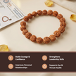 6 Mukhi Rudraksha Bracelet