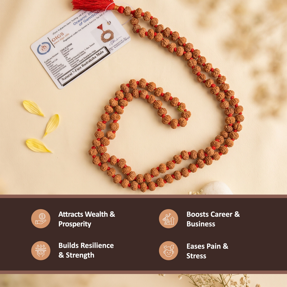 7 mukhi rudraksha mala