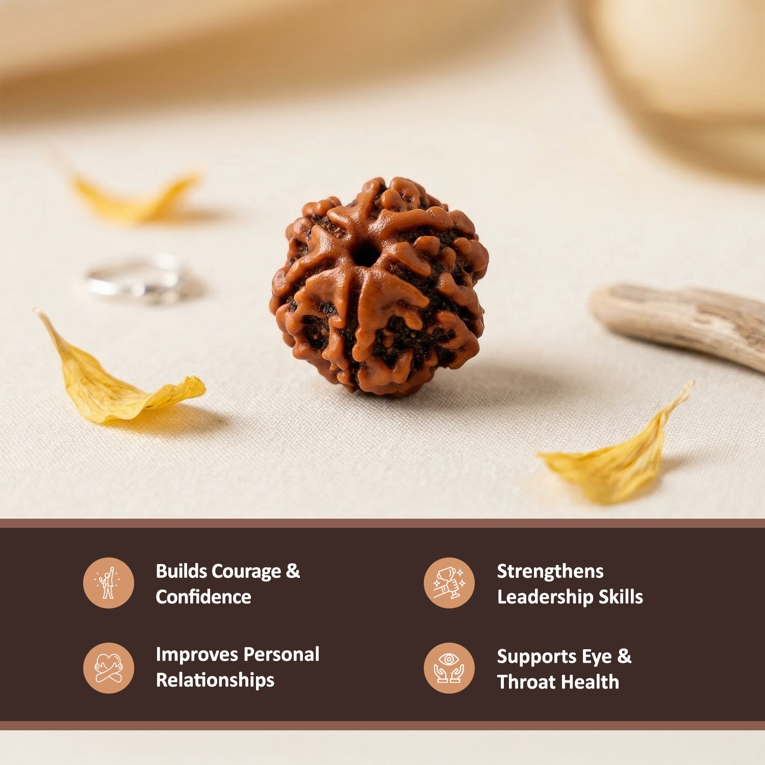 Natural 6 Mukhi Nepali Rudraksha – Confidence & Communication