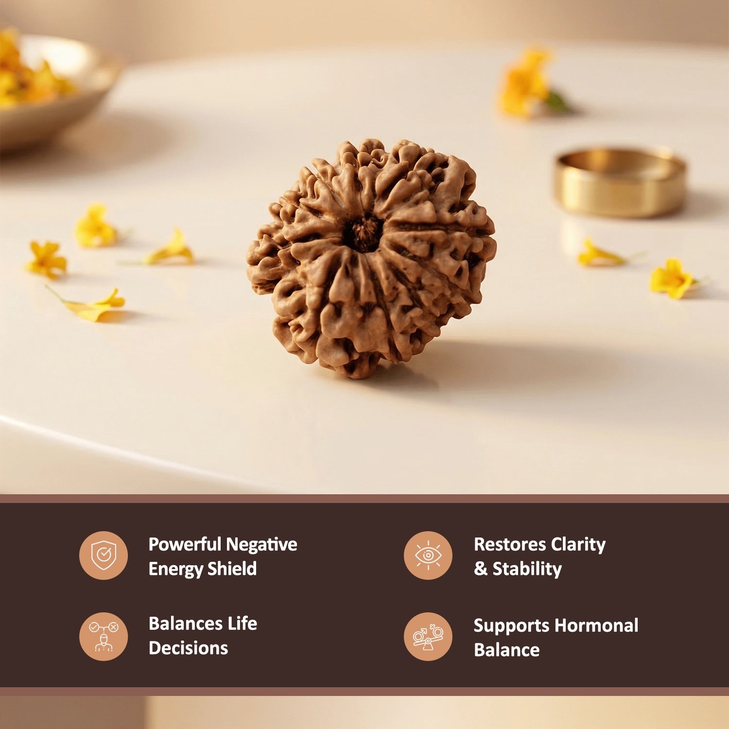 Natural 10 Mukhi Nepali Rudraksha – Lord Vishnu's Protection & Peace