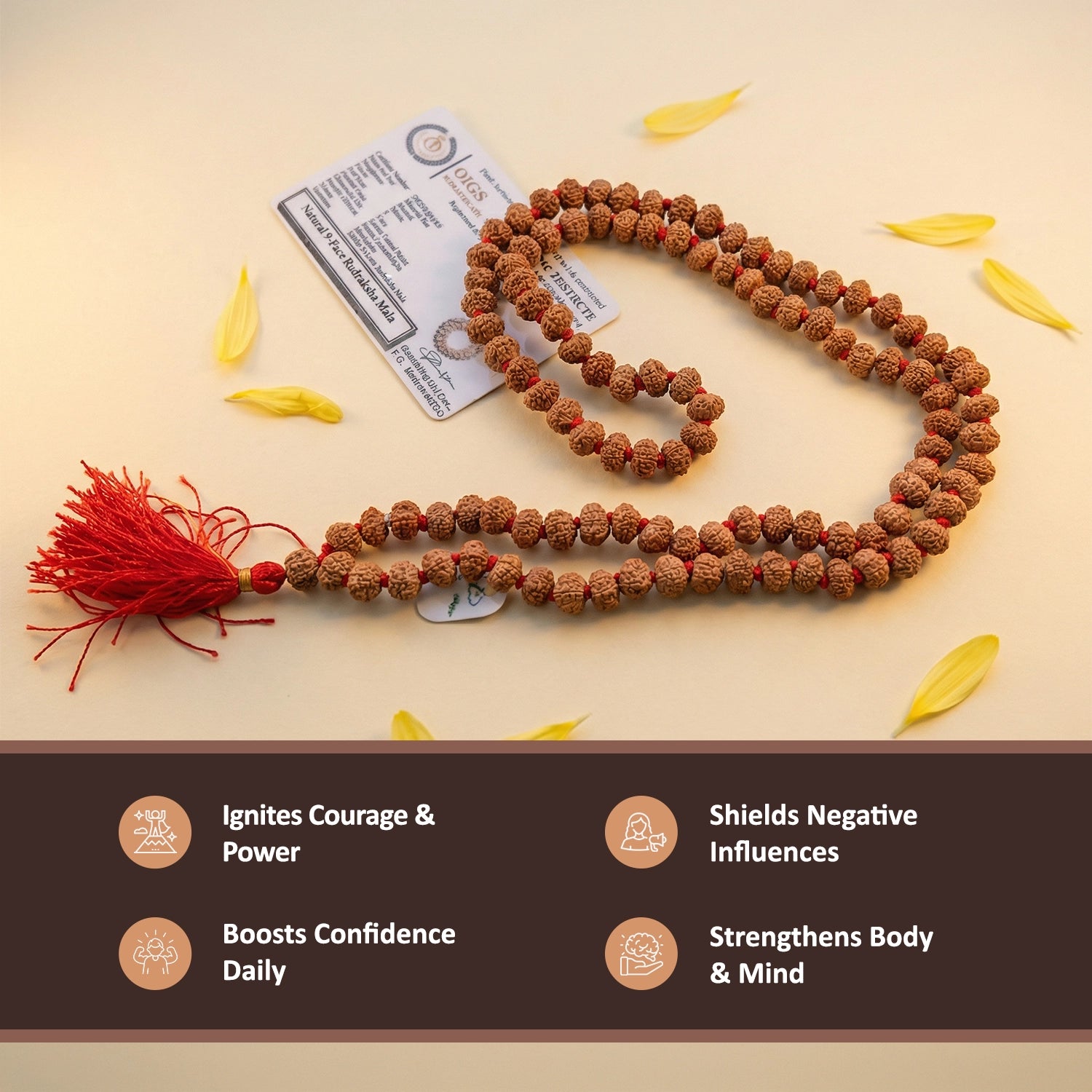 9 mukhi rudraksha mala