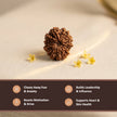Natural 12 Mukhi Nepali Rudraksha – Surya's Leadership & Power