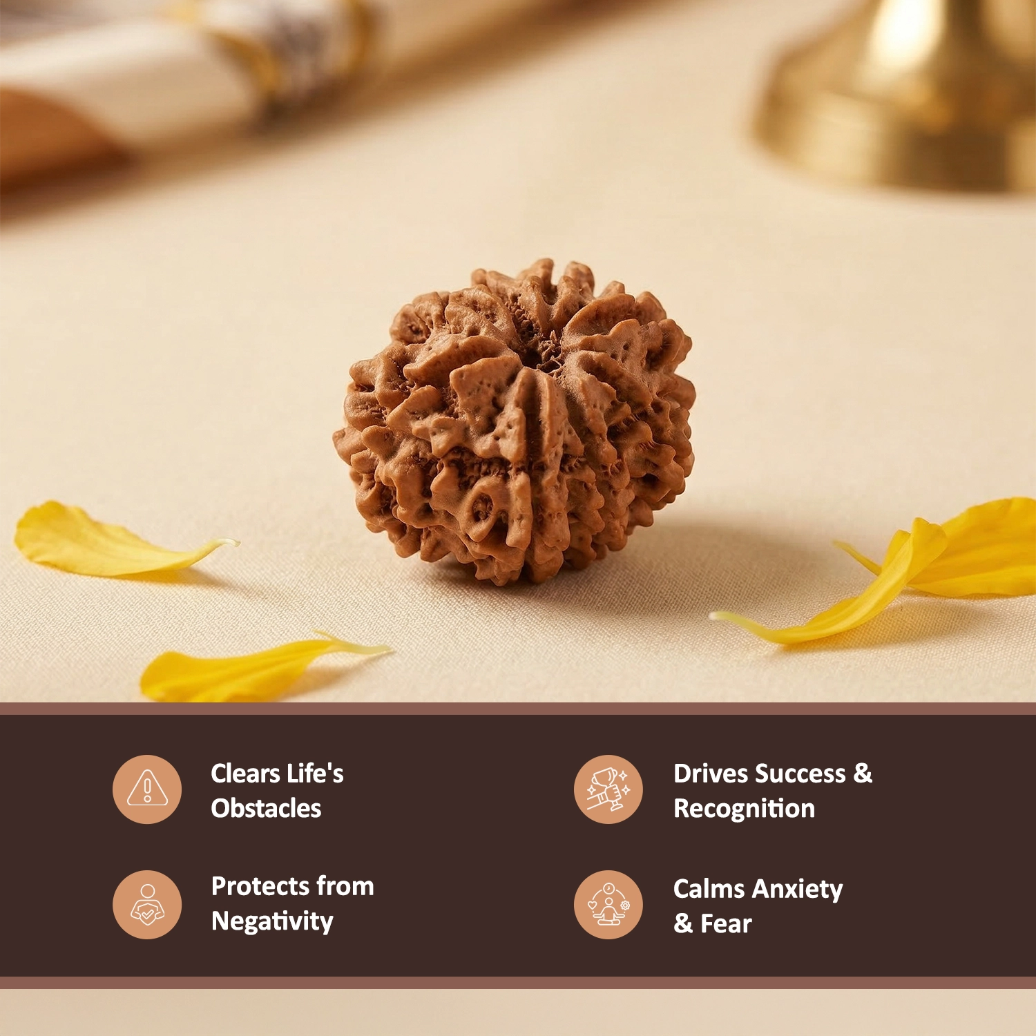 Natural 8 Mukhi Nepali Rudraksha – Success & Obstacle Removal