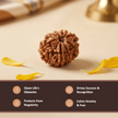 Natural 8 Mukhi Nepali Rudraksha – Success & Obstacle Removal