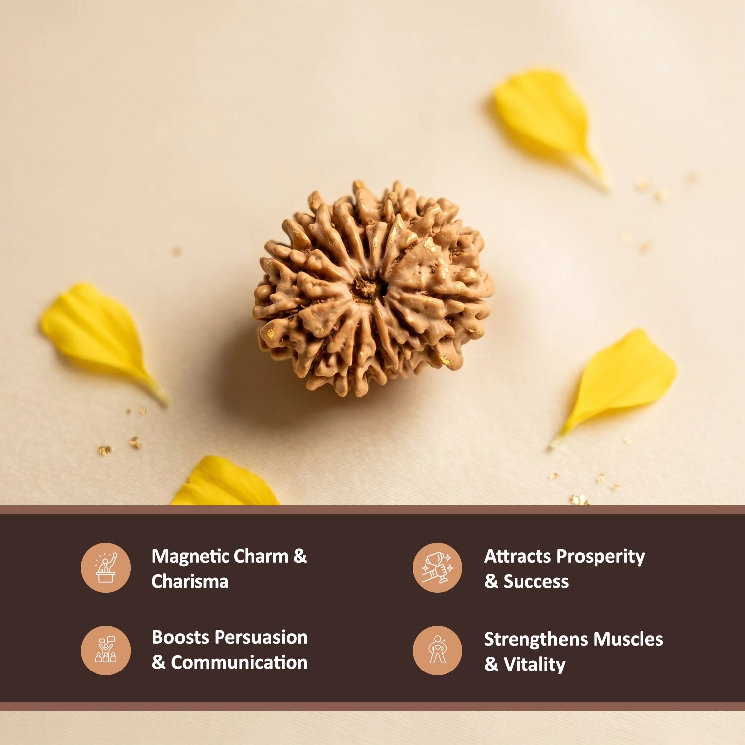 Natural 13 Mukhi Nepali Rudraksha – Attraction, Confidence & Success