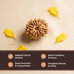 Natural 13 Mukhi Nepali Rudraksha – Attraction, Confidence & Success