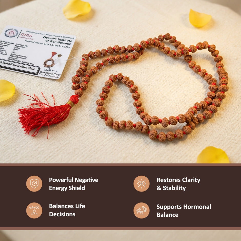 10 mukhi rudraksha mala