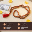 10 mukhi rudraksha mala