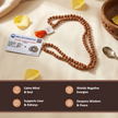 5 mukhi rudraksha mala