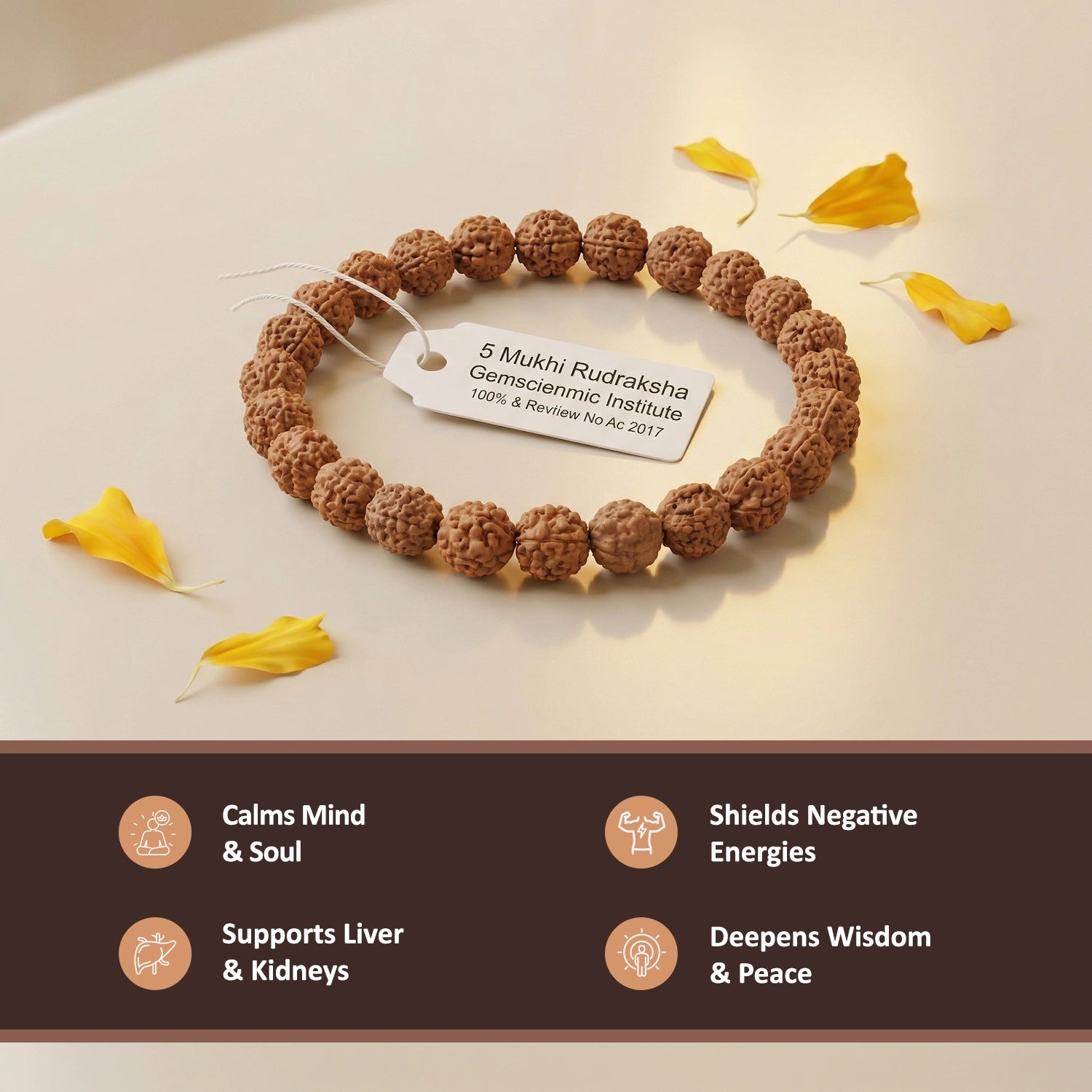 5 Mukhi Rudraksha Bracelet