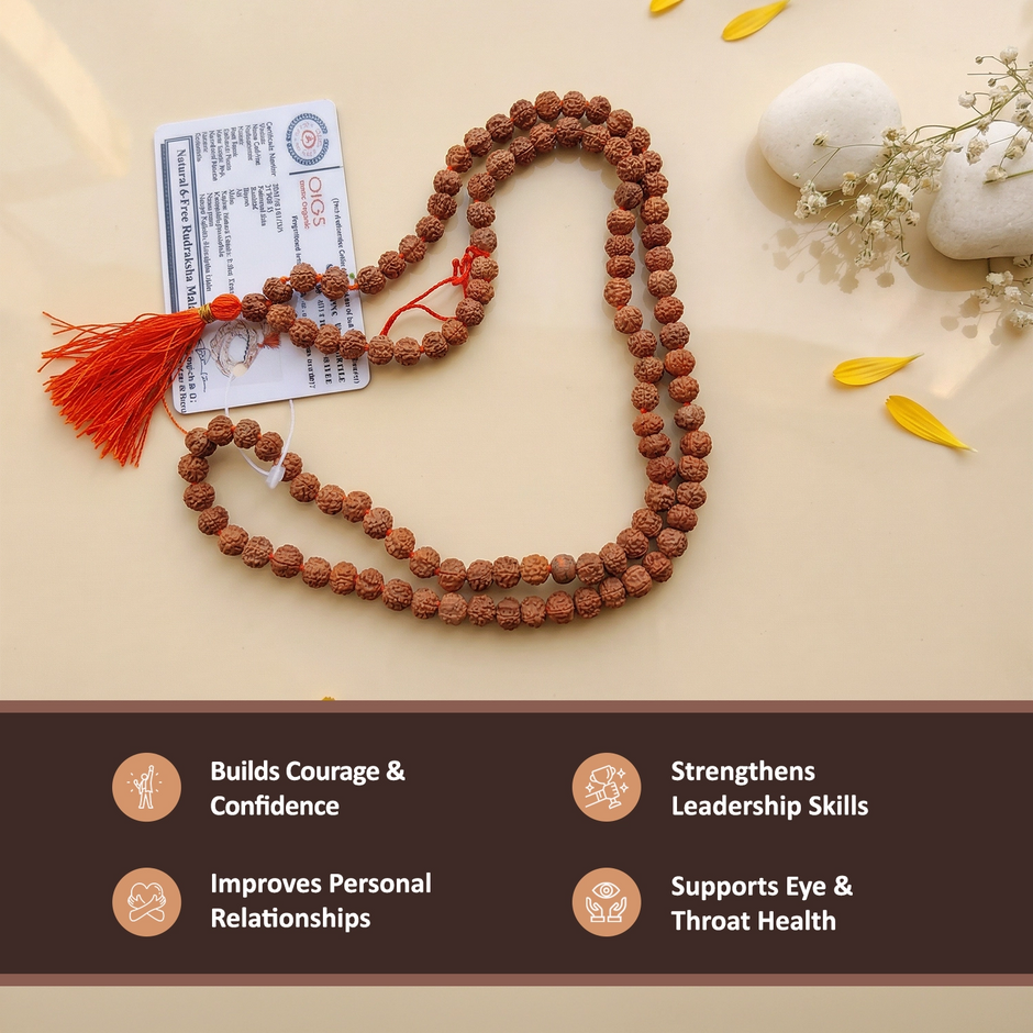 6 mukhi rudraksha mala