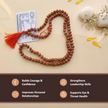 6 mukhi rudraksha mala