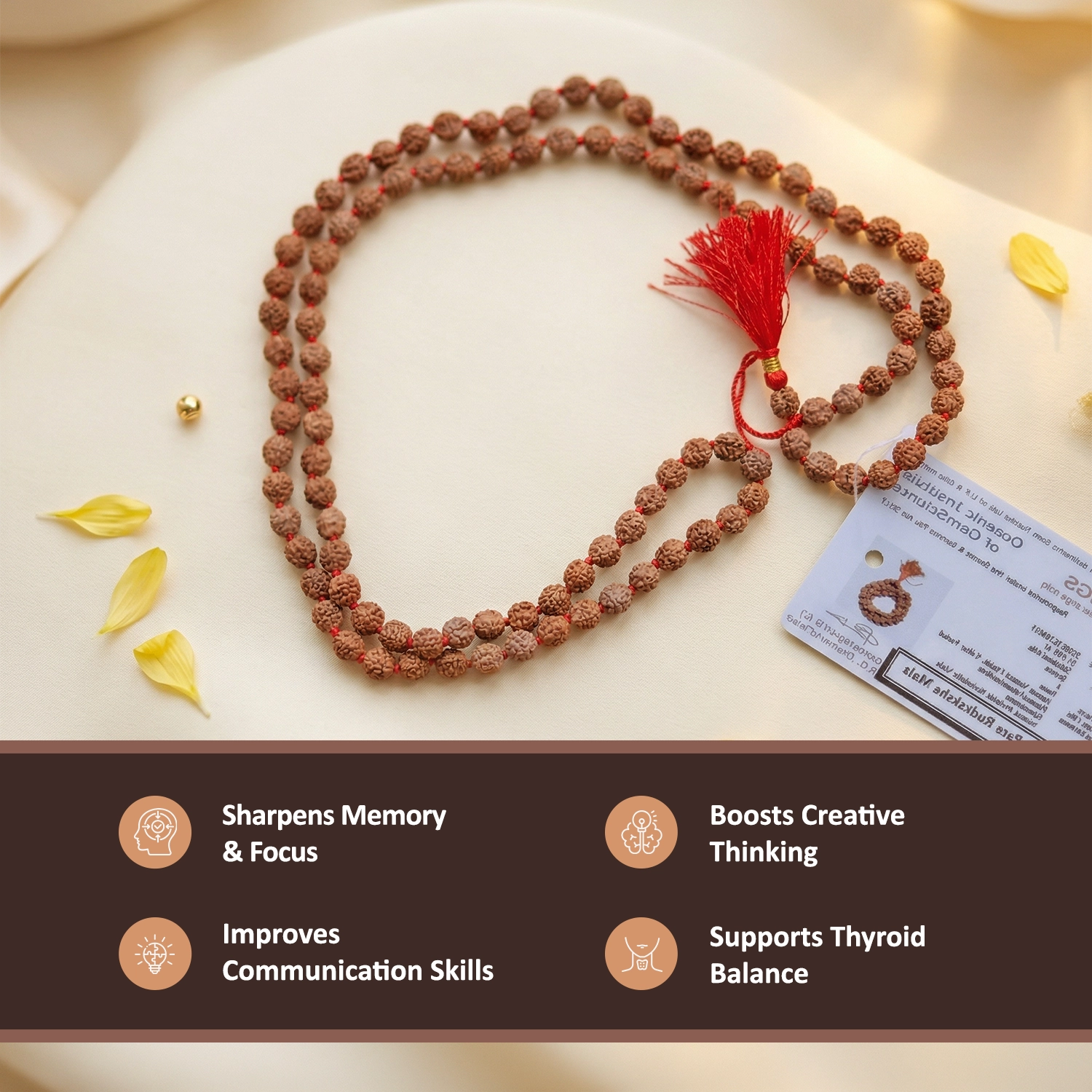 4 mukhi rudraksha mala