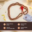 4 mukhi rudraksha mala