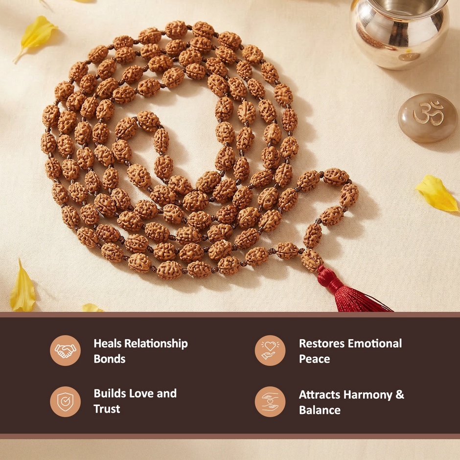 2 mukhi rudraksha mala