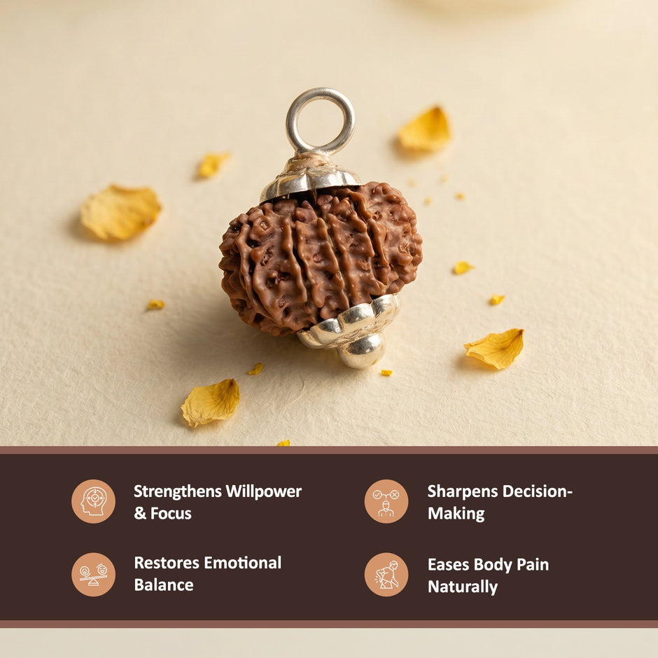 Natural 11 Mukhi Nepali Rudraksha – Lord Hanuman's Courage & Wisdom