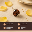 Natural 7 Mukhi Nepali Rudraksha – Wealth & Stability