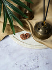 Natural Gauri Shankar Rudraksha – Love, Harmony & Relationship Healing