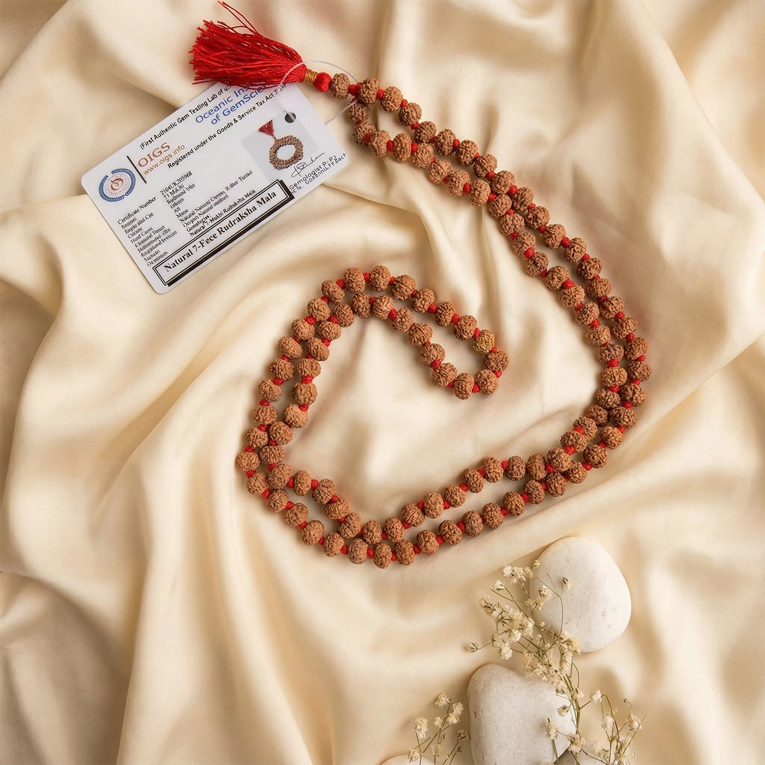 7 mukhi rudraksha mala